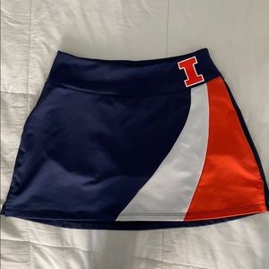 University of Illinois SKIRT